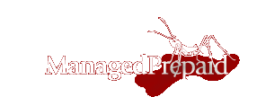 Managed Prepaid - Business, Technology, Creative